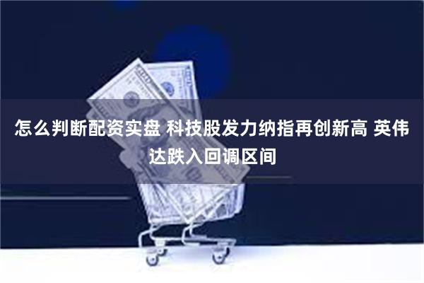 怎么判断配资实盘 科技股发力纳指再创新高 英伟达跌入回调区间