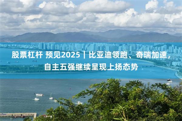 股票杠杆 预见2025｜比亚迪领跑、奇瑞加速，自主五强继续呈现上扬态势