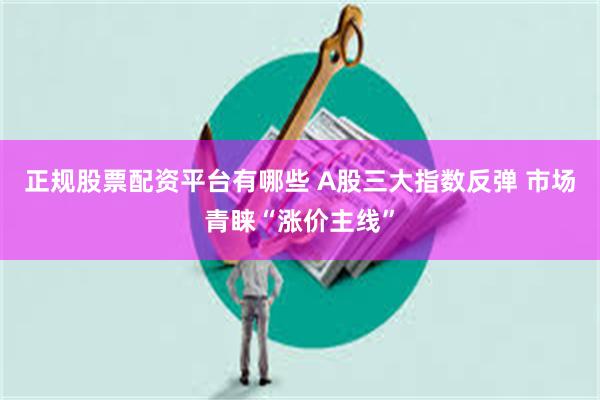 正规股票配资平台有哪些 A股三大指数反弹 市场青睐“涨价主线”