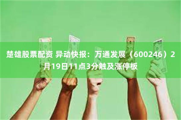 楚雄股票配资 异动快报：万通发展（600246）2月19日11点3分触及涨停板