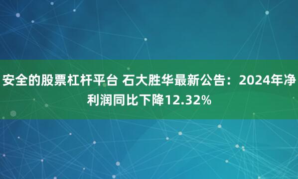 安全的股票杠杆平台 石大胜华最新公告：2024年净利润同比下降12.32%