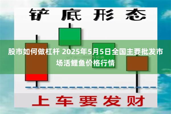 股市如何做杠杆 2025年5月5日全国主要批发市场活鲤鱼价格行情