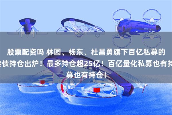 股票配资吗 林园、杨东、杜昌勇旗下百亿私募的可转债持仓出炉！最多持仓超25亿！百亿量化私募也有持仓！