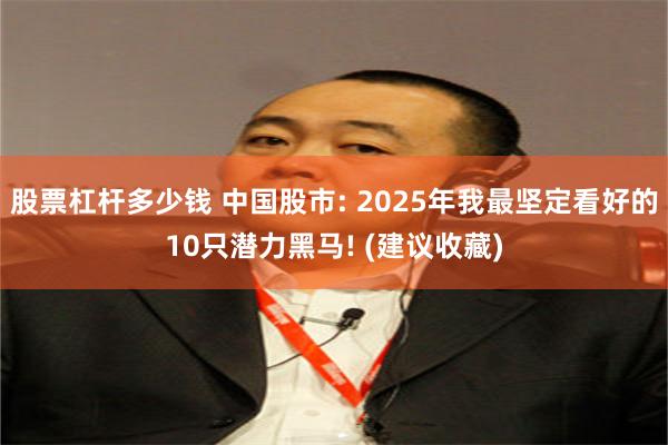 股票杠杆多少钱 中国股市: 2025年我最坚定看好的10只潜力黑马! (建议收藏)
