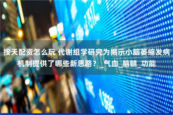 按天配资怎么玩 代谢组学研究为揭示小脑萎缩发病机制提供了哪些新思路？_气血_脑髓_功能