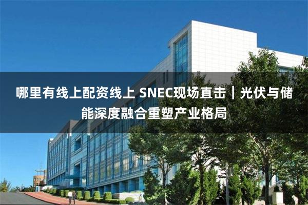 哪里有线上配资线上 SNEC现场直击｜光伏与储能深度融合重塑产业格局