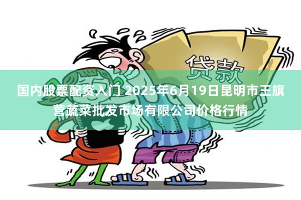国内股票配资入门 2025年6月19日昆明市王旗营蔬菜批发市场有限公司价格行情