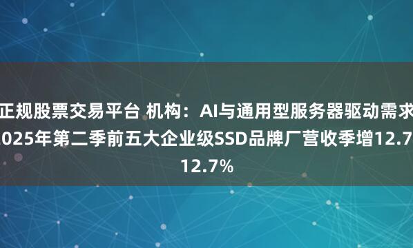 正规股票交易平台 机构：AI与通用型服务器驱动需求 2025年第二季前五大企业级SSD品牌厂营收季增12.7%