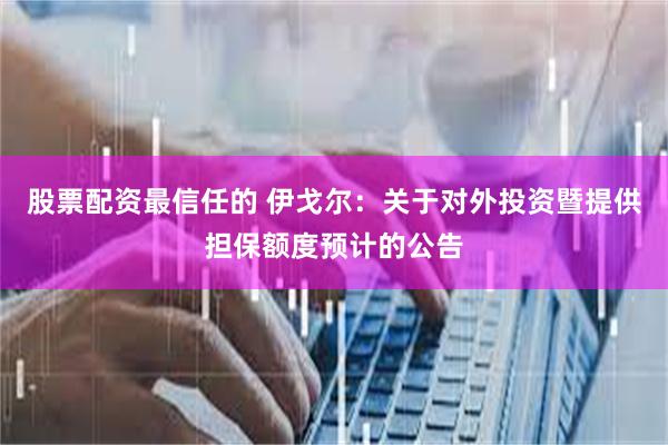 股票配资最信任的 伊戈尔：关于对外投资暨提供担保额度预计的公告